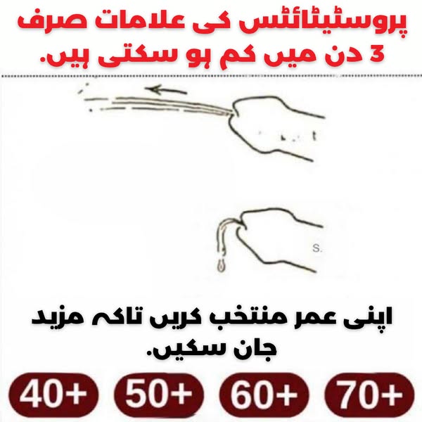 Spectacular provide