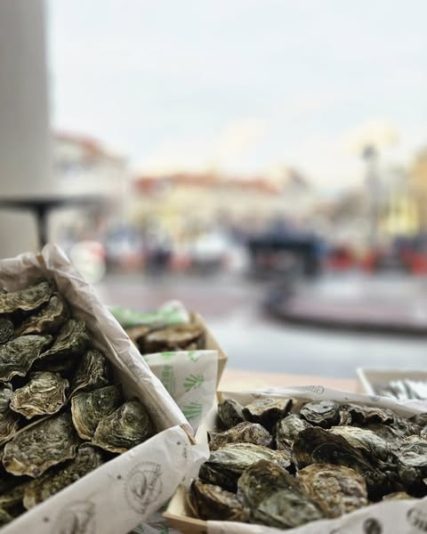 oyster