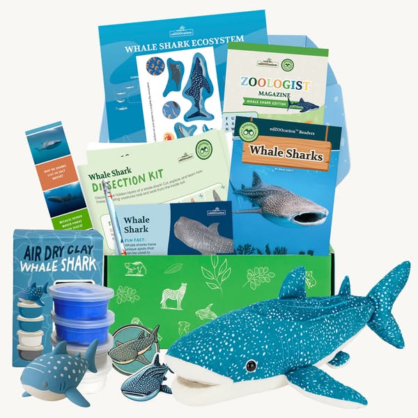Subscription Box