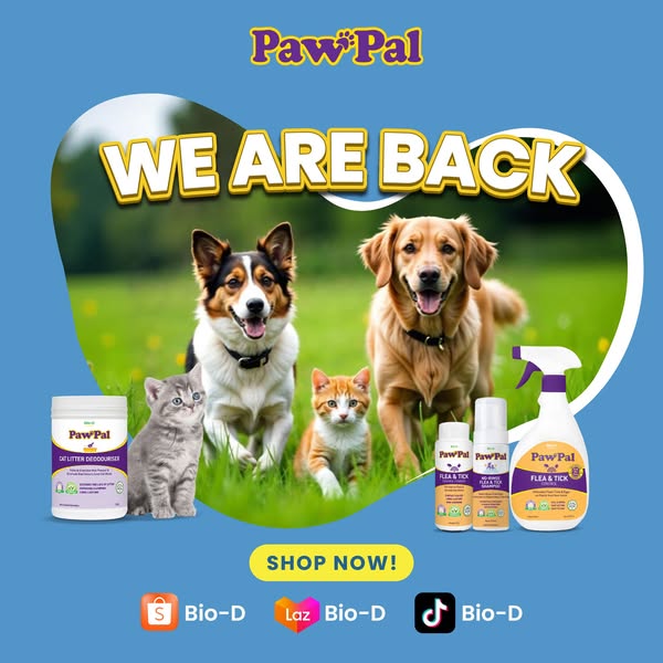 Shop the best deals