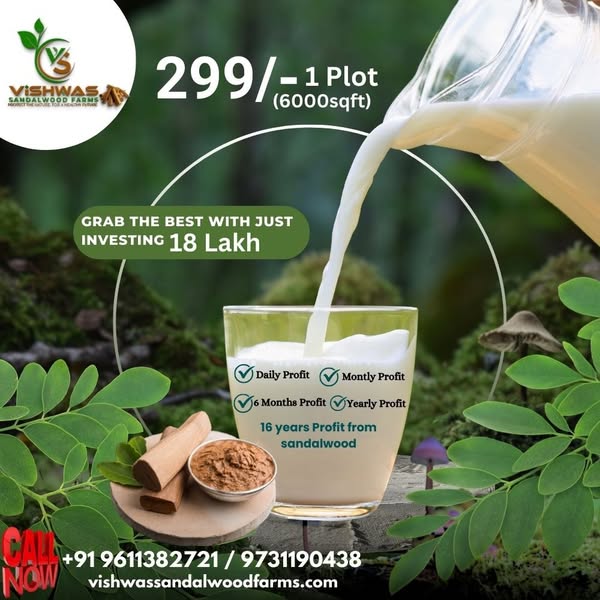 Natural invest