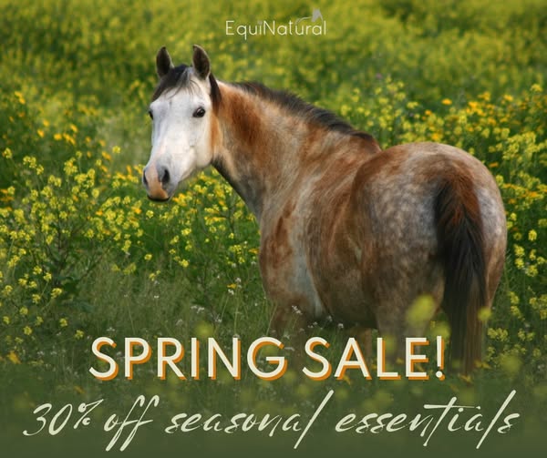 Premium seasonal