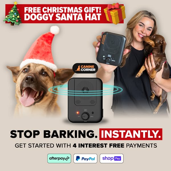 Shop for Christmas