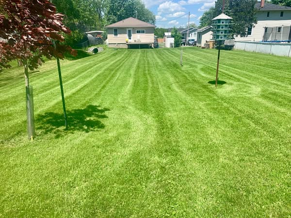 Exceptional landscaping