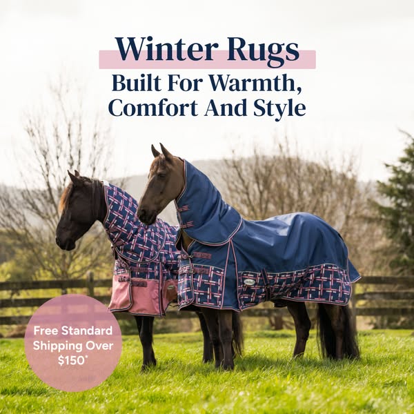 Shop for Winter