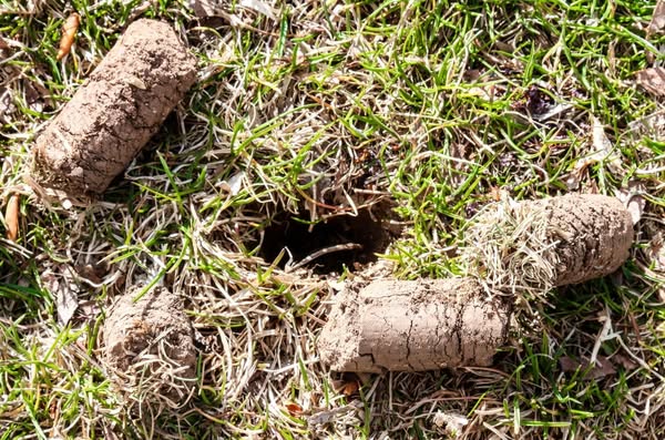 Fast soil