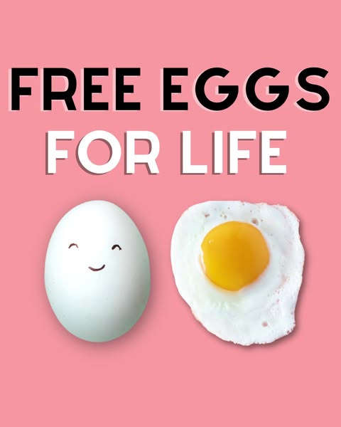 Farm Fresh Eggs