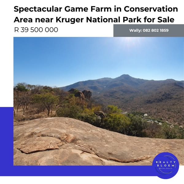 Spectacular sale