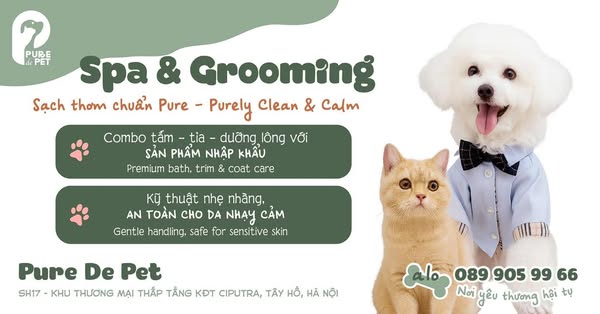 Shop Pets
