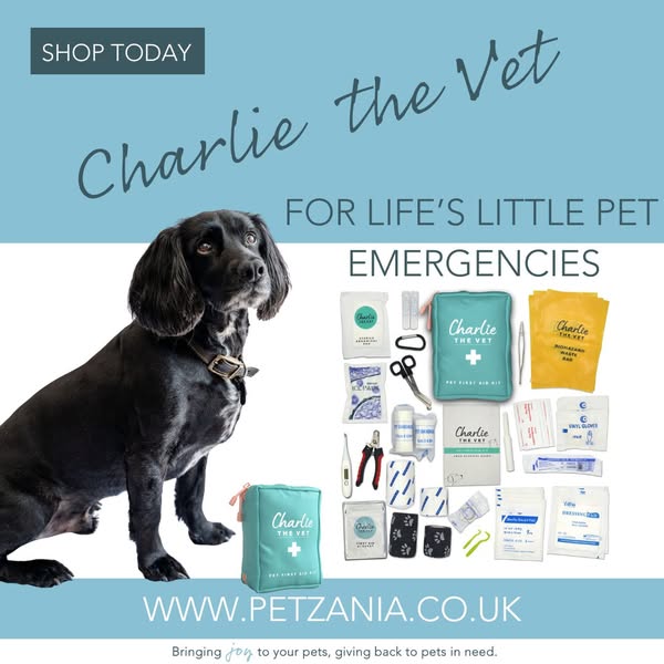 Shop for Pet Toys