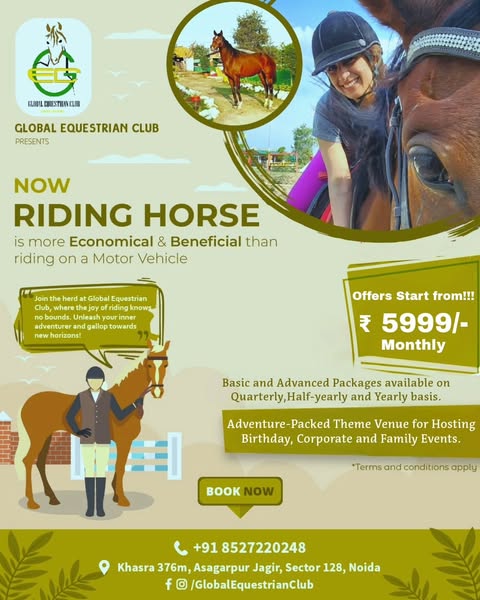Advanced horse