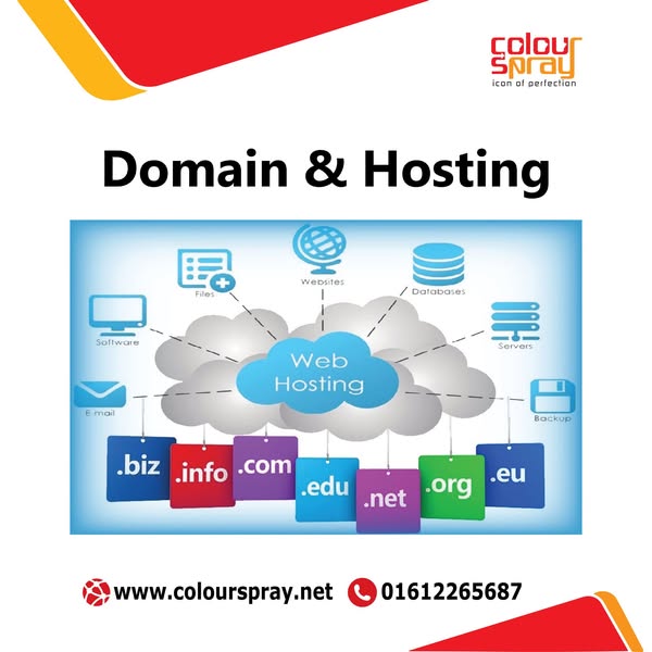 Domain name registration