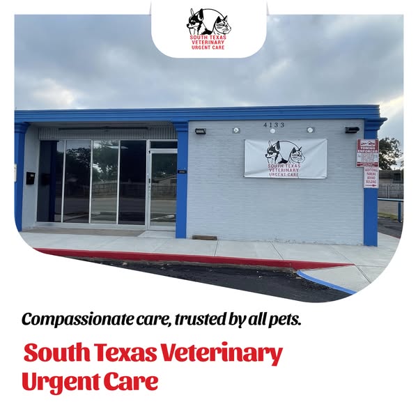 Reliable veterinary