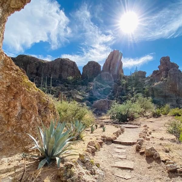 Superior desert