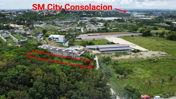 Ideal development