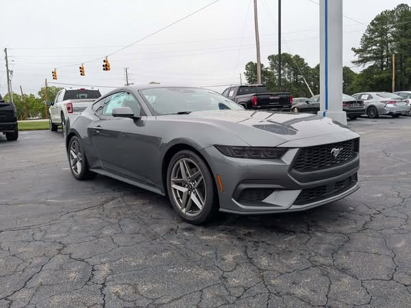 Customer Favorites