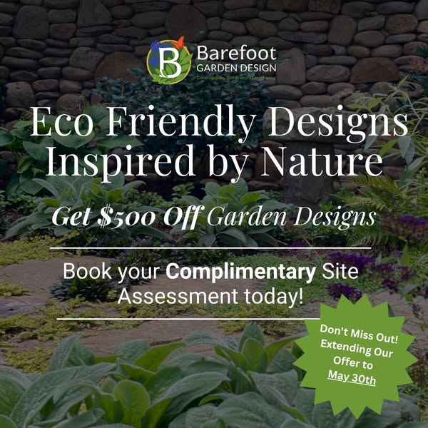 Eco-friendly complimentary