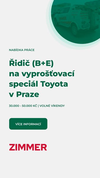 Vice