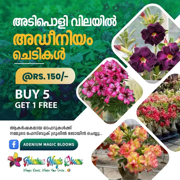 Exclusive gardening