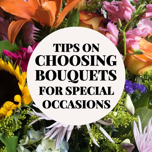 Shop for special occasions