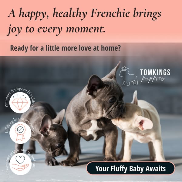 Healthy pup