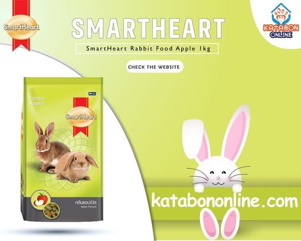 Shop for Cat Toys