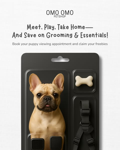 Shop for pet grooming