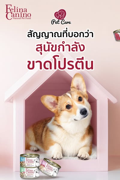 Shop Pet Food