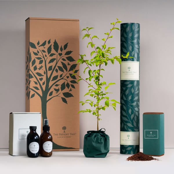 Shop for Sustainable Packaging