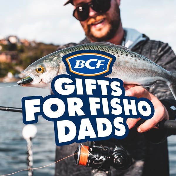 Shop for camping gear