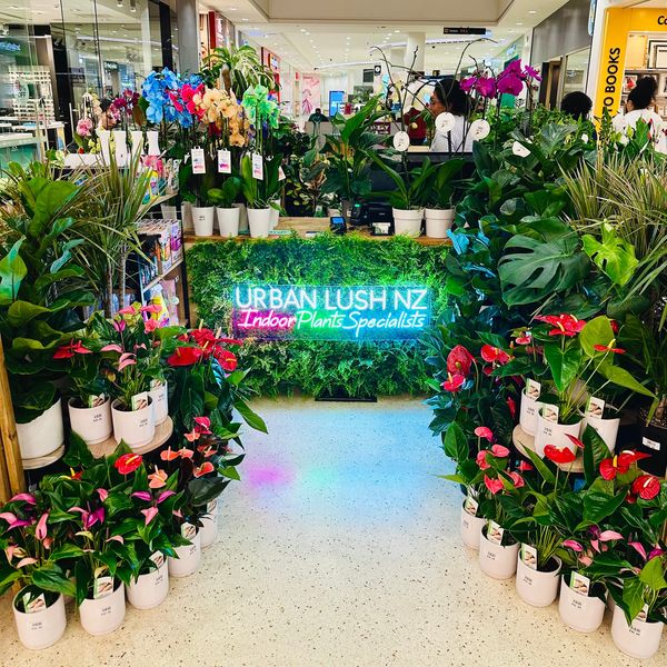 Plant Prosperity