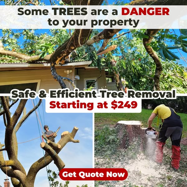 Efficient null