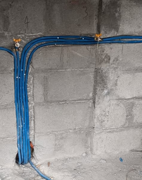 Budget-friendly above