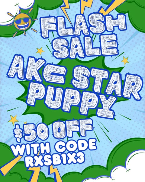 Flash Sale