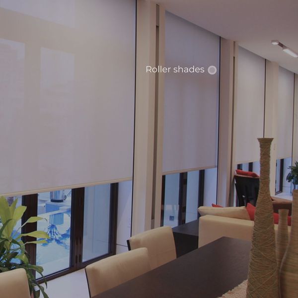 Modern Roller Shades