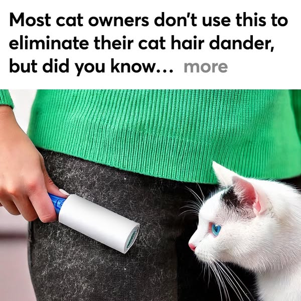whisker