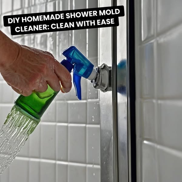 Exclusive homemade