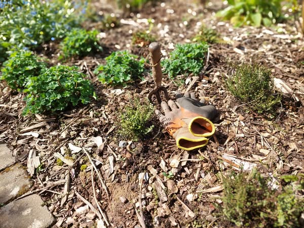 Reliable gardener