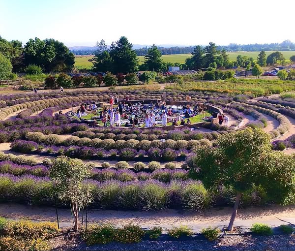 Comfortable farm
