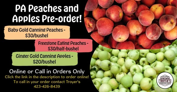 Pre-order Now