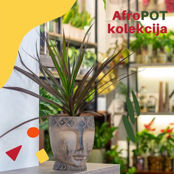 Shop for home decor