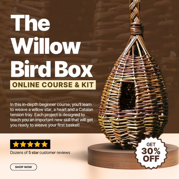 Unique willow