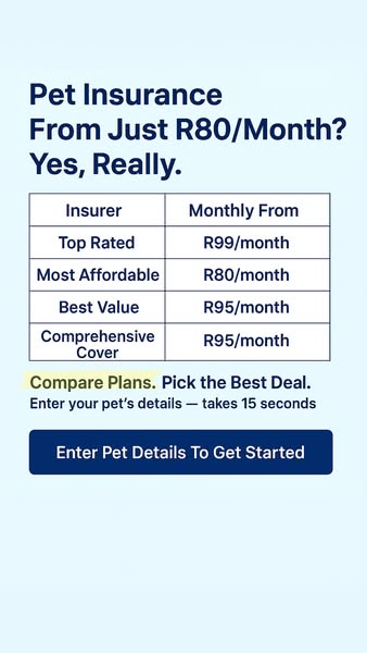 Affordable insurer