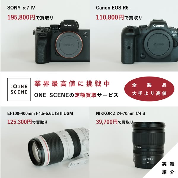 Nikon Z50