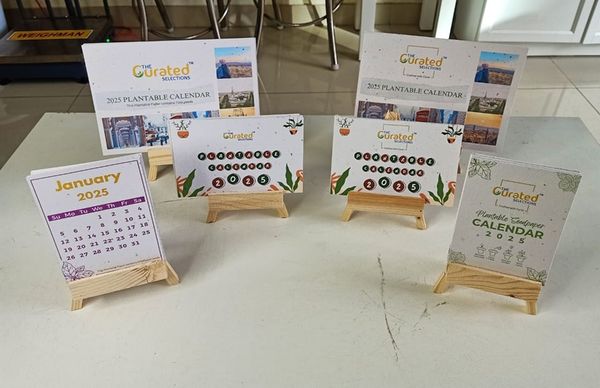 Tomato Seeds