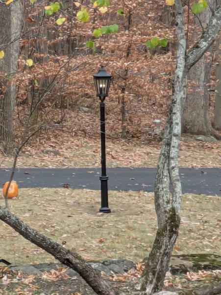 LED Security Light