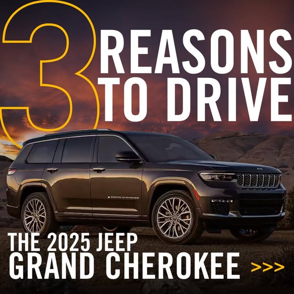 Comfortable Cherokee