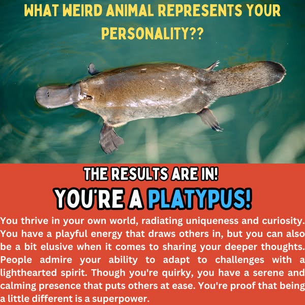 Unique quirky