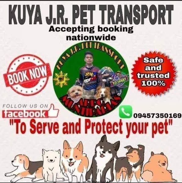 Affordable slot