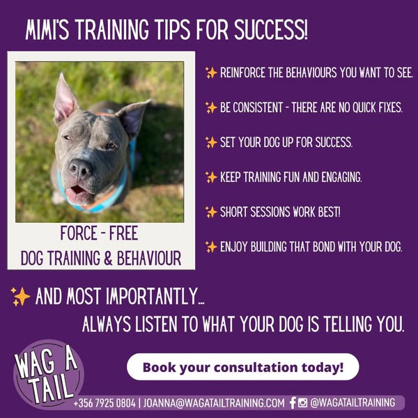 Engaging wag